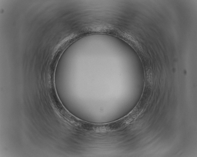 X0000073730587200608241259