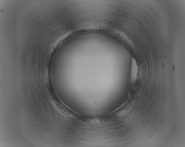 X0000073730588200608241259