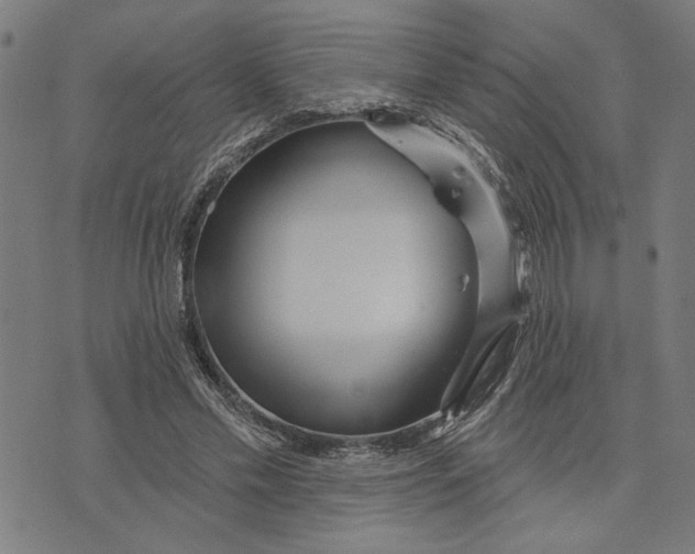 X0000073730589200608241259