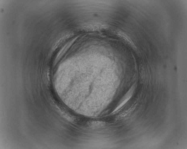 X0000073730590200608241259