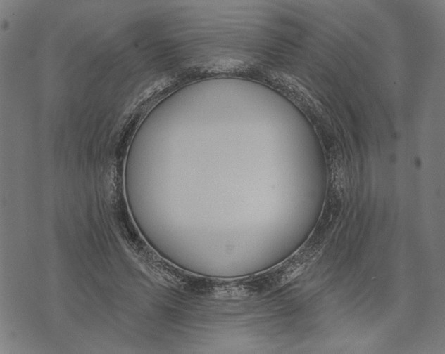 X0000073730591200608241259