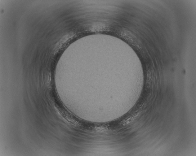 X0000073730592200608241259