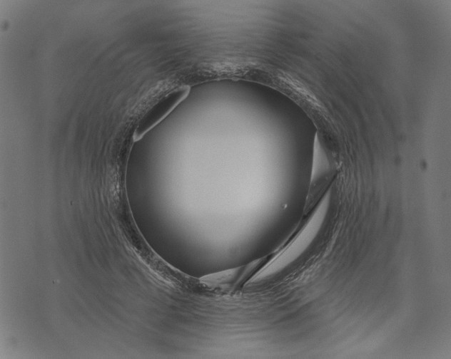 X0000073730593200608241259