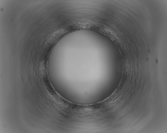 X0000073730594200608241259