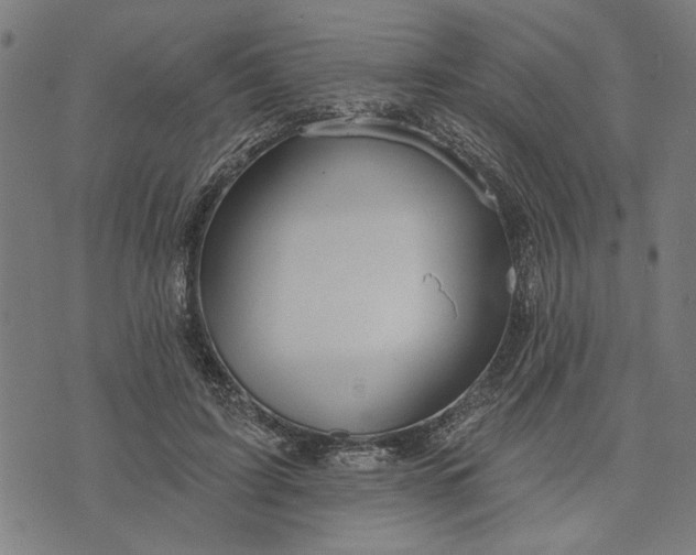 X0000073730595200608241259