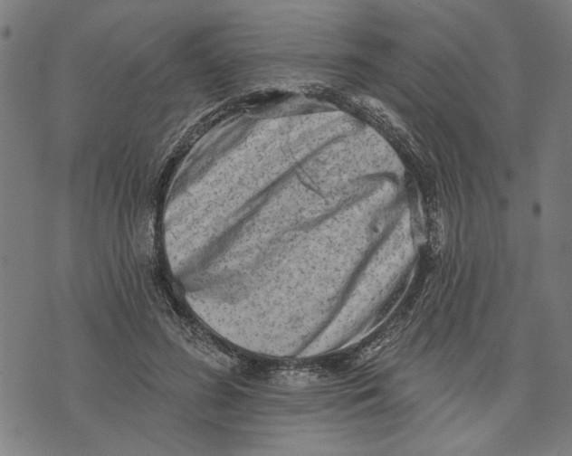 X0000073730596200608241259