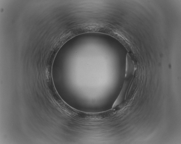 X0000073730597200608241259