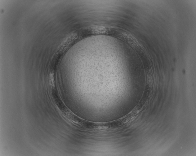 X0000073730598200608241259