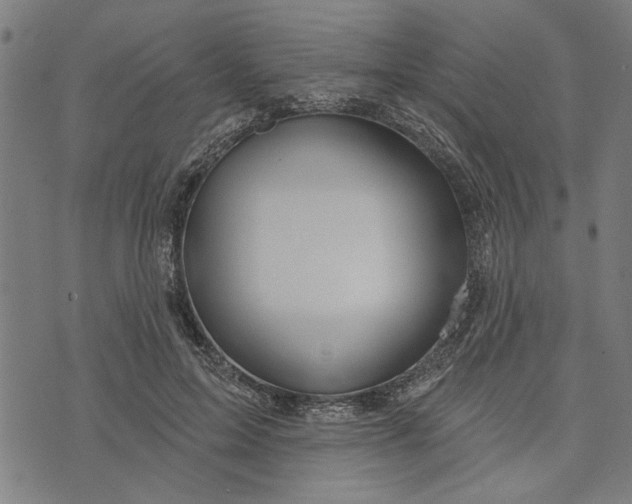 X0000073730599200608241259