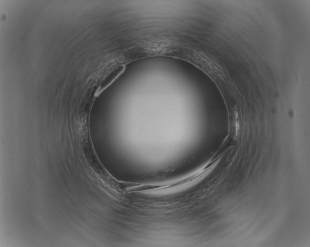 X0000073730601200608241259