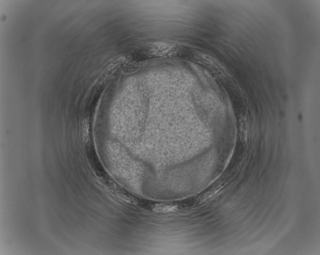 X0000073730602200608241259