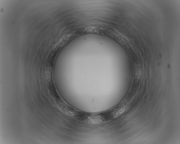 X0000073730603200608241259