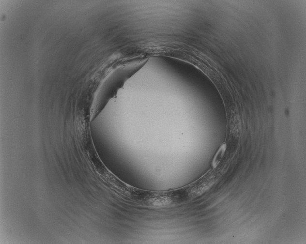 X0000073730604200608241259