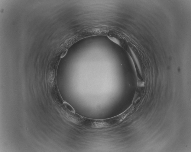 X0000073730605200608241259