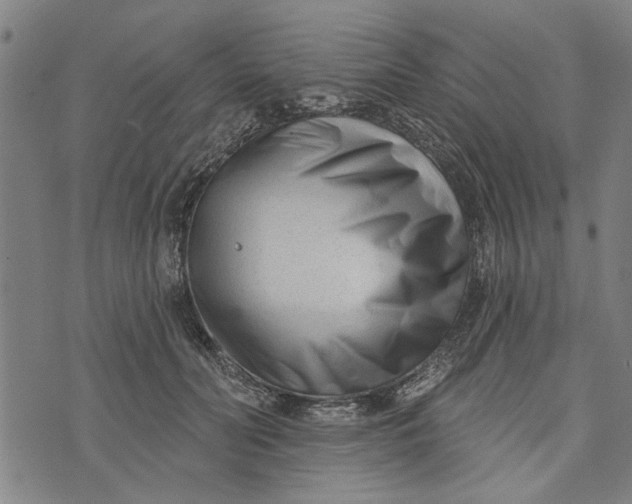 X0000073730606200608241258