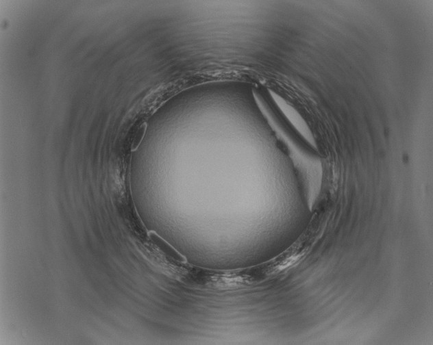 X0000073730607200608241258