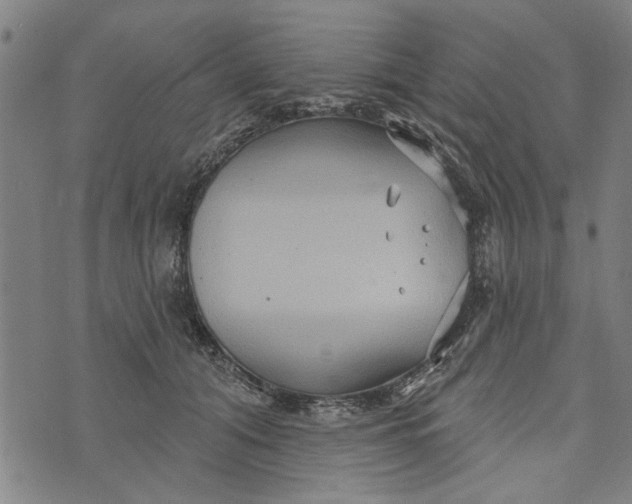 X0000073730608200608241258