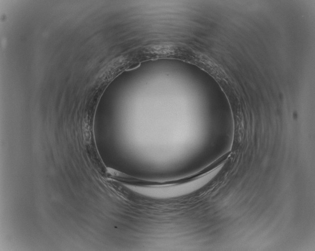 X0000073730609200608241258