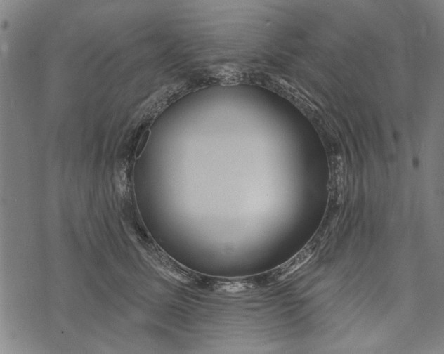 X0000073730611200608241258