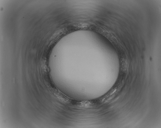 X0000073730612200608241258