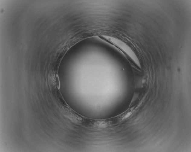 X0000073730613200608241258