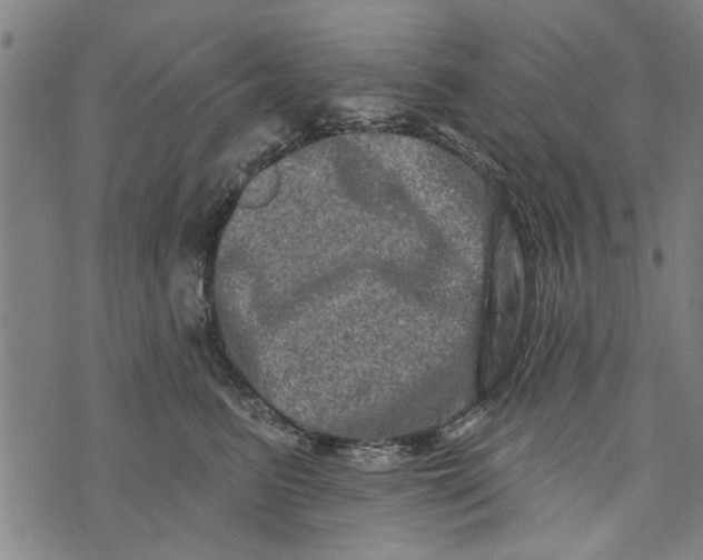 X0000073730615200608241258