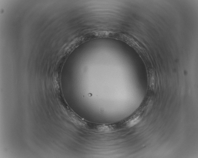 X0000073730616200608241258