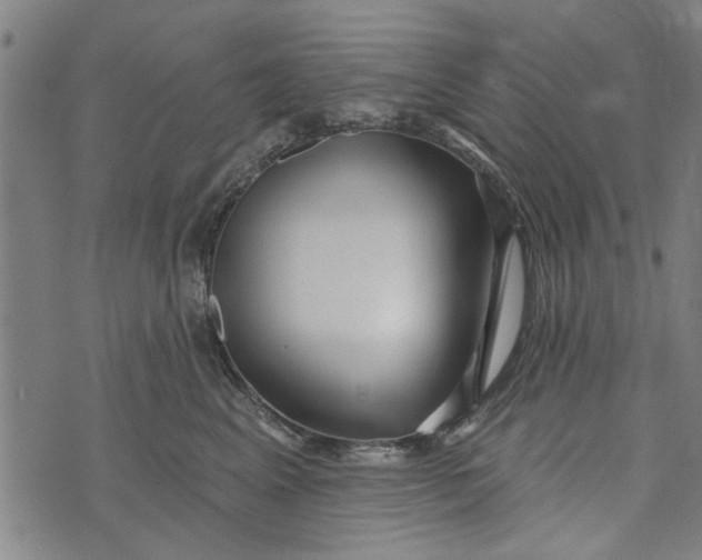 X0000073730617200608241258