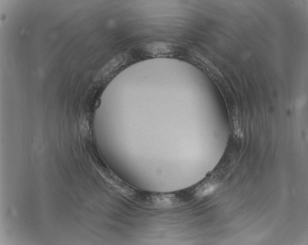 X0000073730618200608241258