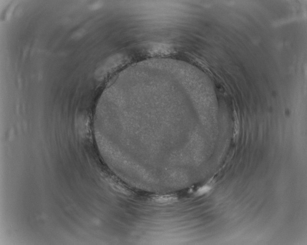 X0000073730619200608241258