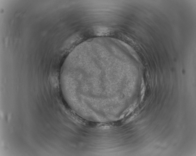 X0000073730620200608241258