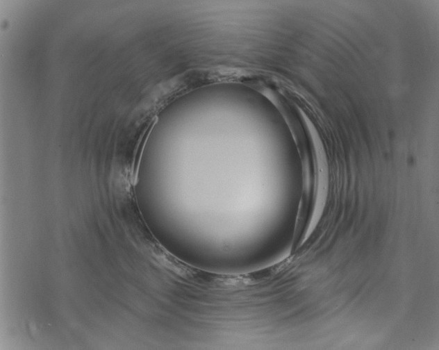 X0000073730621200608241258