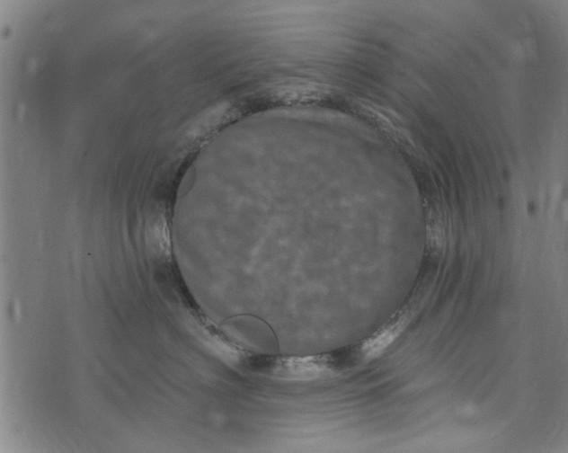 X0000073730622200608241258