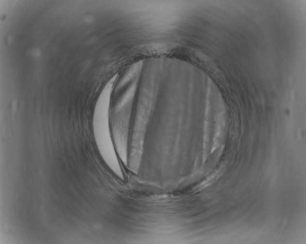 X0000073730624200608241258