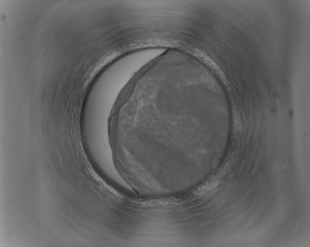 X0000073730625200608241257