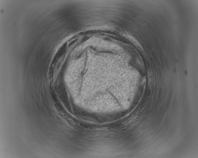 X0000073730628200608241257