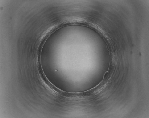 X0000073730629200608241257