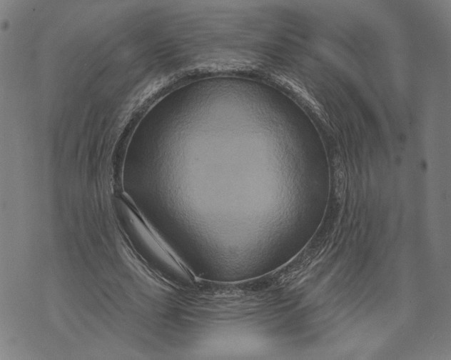 X0000073730631200608241258