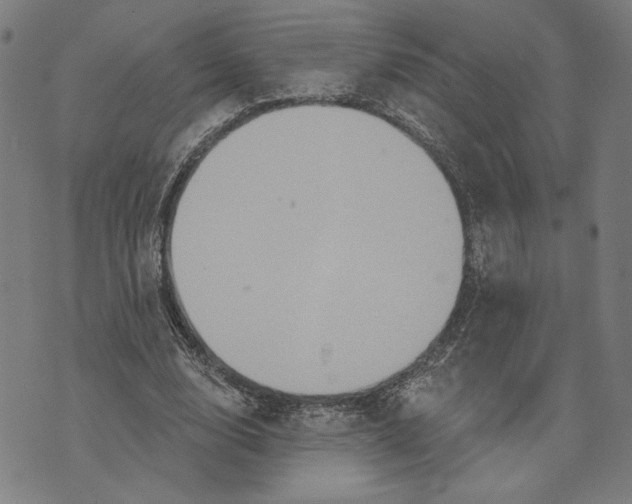 X0000073730632200608241258