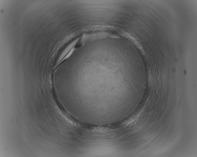 X0000073730633200608241258