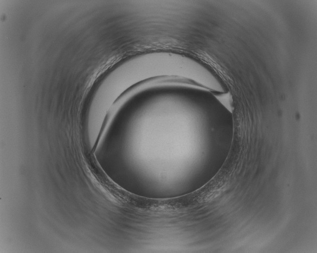 X0000073730634200608241258