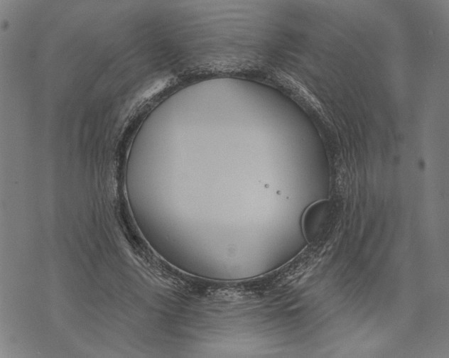 X0000073730635200608241258