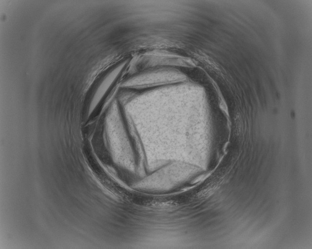 X0000073730638200608241258