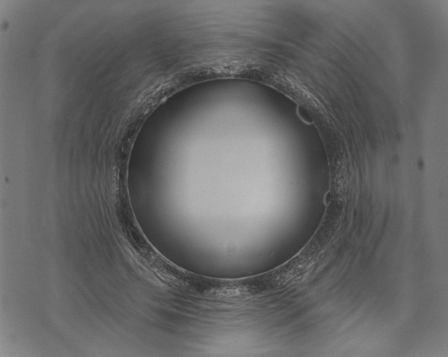 X0000073730639200608241258