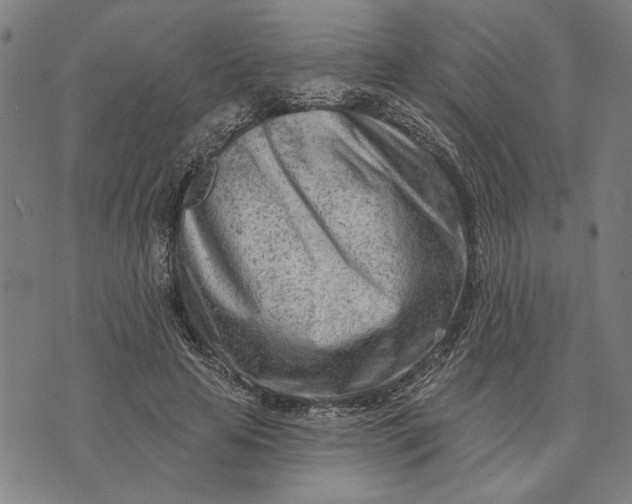 X0000073730641200608241258