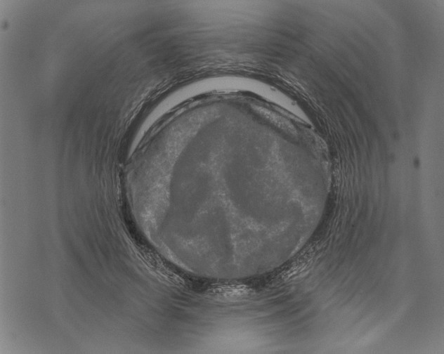 X0000073730642200608241258