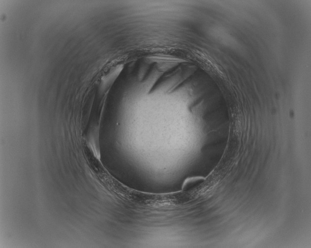 X0000073730643200608241258