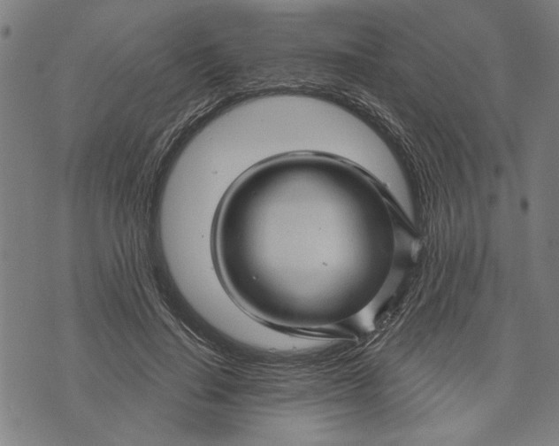 X0000073730644200608241258