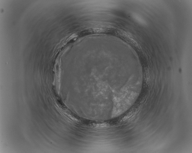 X0000073730645200608241258