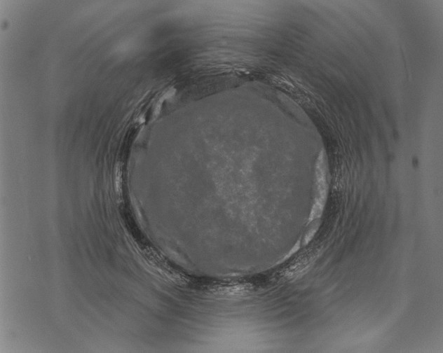 X0000073730646200608241258